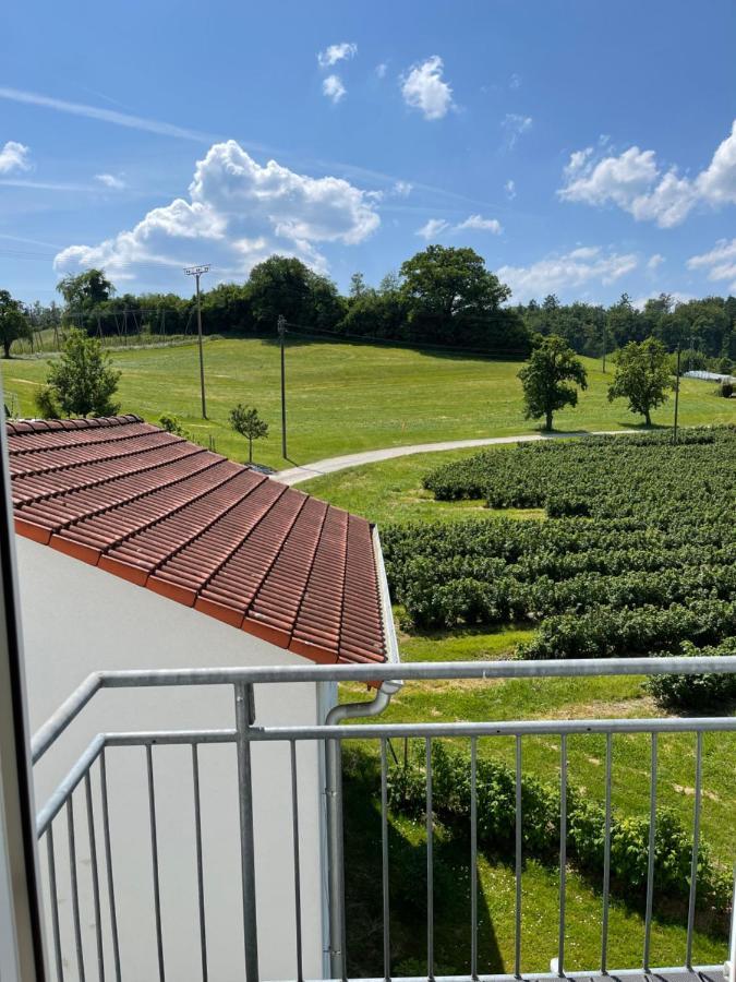 Apartment Schendel Tettnang Exterior foto